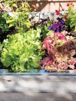 Re-Markable Raised Bed Trim -The Bloom Yard Sales Shop 8611758 306 tif