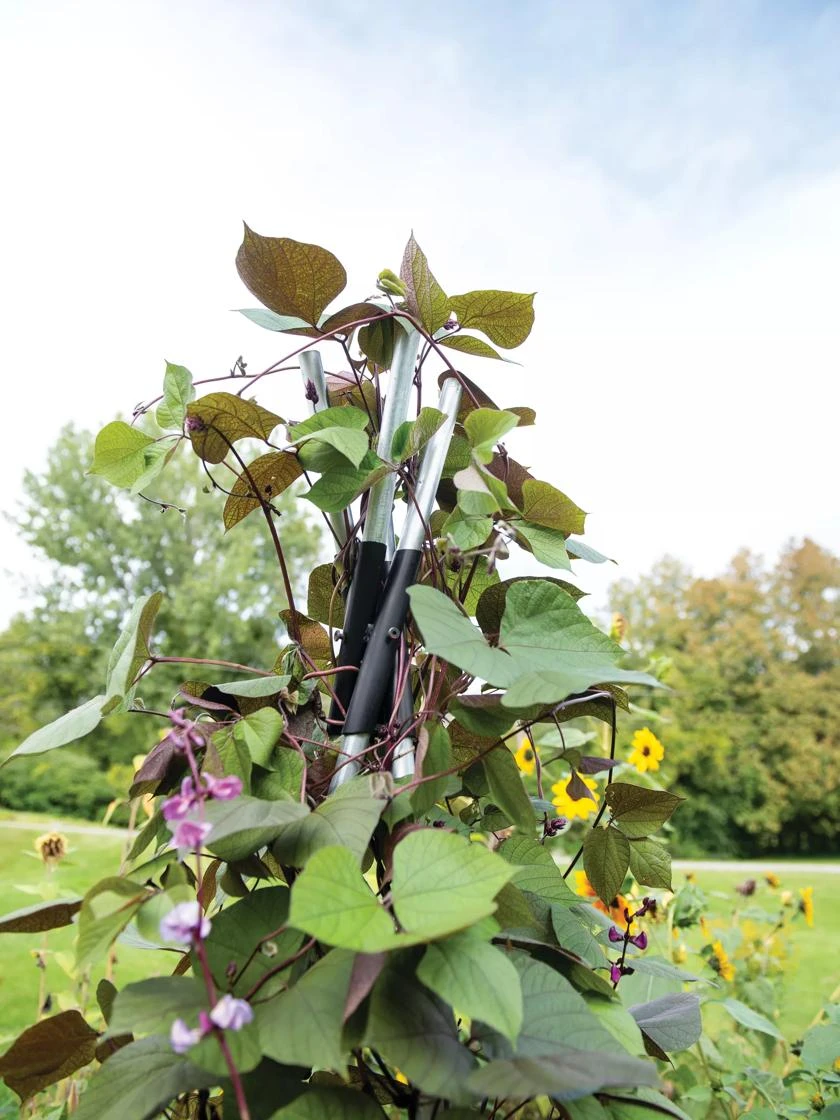 DIY Connector For Teepee Trellis 1 DIY Connector For Teepee Trellis