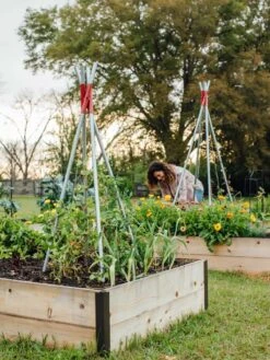 DIY Connector For Teepee Trellis 19 DIY Connector For Teepee Trellis -The Bloom Yard Sales Shop 8611896 38 tif