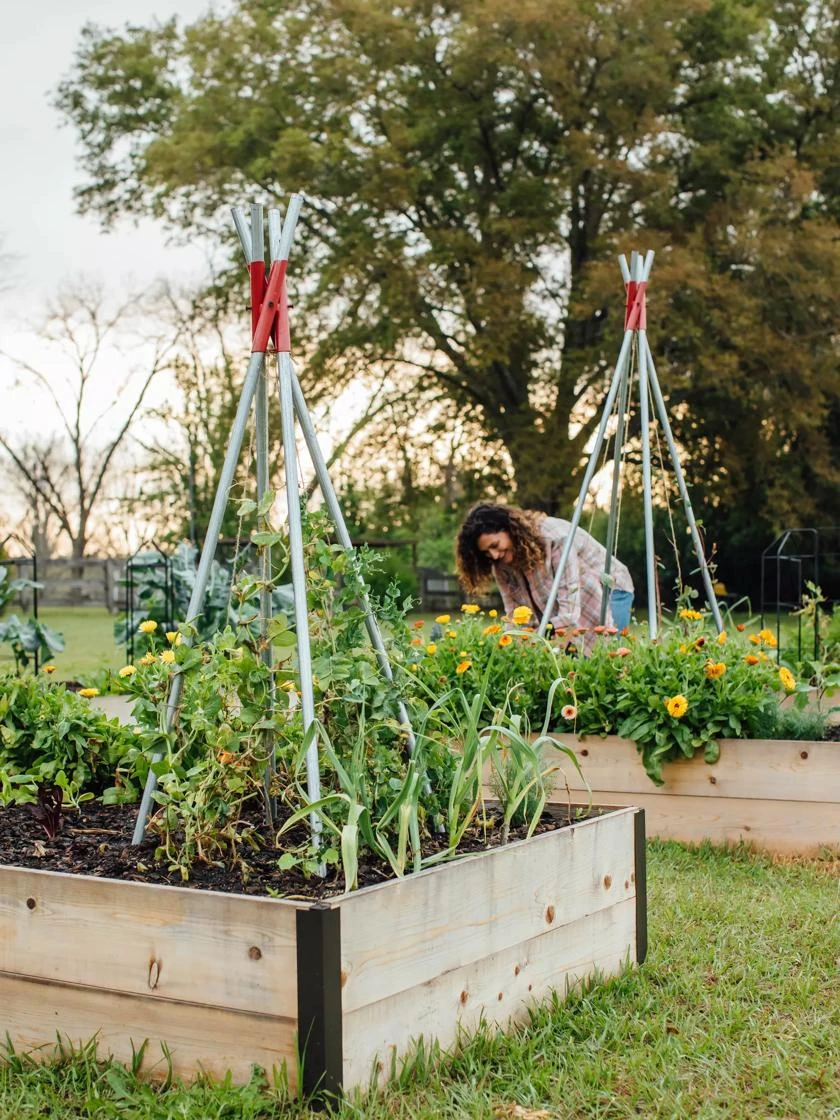 DIY Connector For Teepee Trellis 8 DIY Connector For Teepee Trellis - Image 8