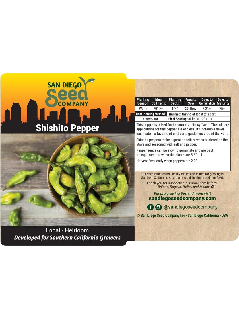 Shishito Pepper Organic Seeds 3 Shishito Pepper Organic Seeds - Image 3