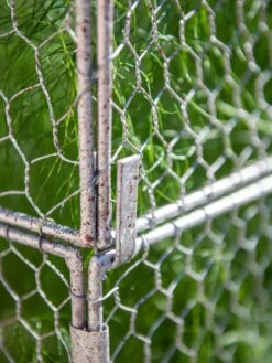 Chicken Wire Crop Coop Extension -The Bloom Yard Sales Shop 8611940 232 tif