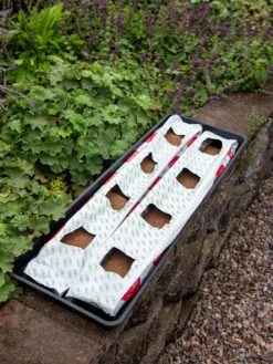 Berry Blend Coir Grow Bag, Set Of 2 -The Bloom Yard Sales Shop 8611968 361 tif