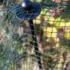 Bird-Safe Woven Bird Netting