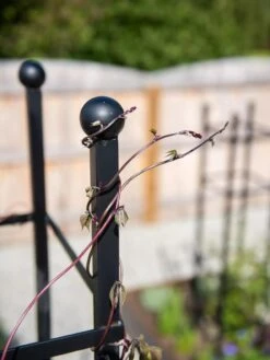 Essex Square Obelisk -The Bloom Yard Sales Shop 8611984 278 tif