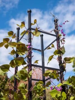 Essex Square Obelisk -The Bloom Yard Sales Shop 8611984 354 tif