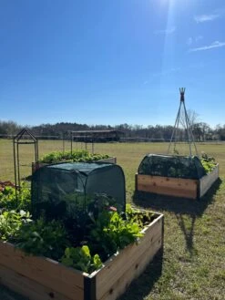 Pest Control Pop-Ups -The Bloom Yard Sales Shop 8611989 05 tif