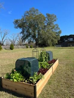 Pest Control Pop-Ups -The Bloom Yard Sales Shop 8611989 08 tif