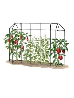 Zenith Trellis -The Bloom Yard Sales Shop 8612035 art tif