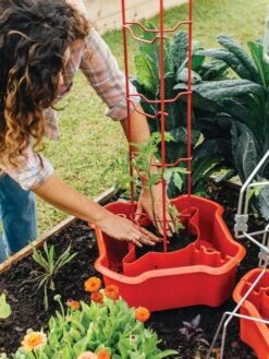Deluxe Tomato Halos, Set Of 2 -The Bloom Yard Sales Shop 8612045 135 tif