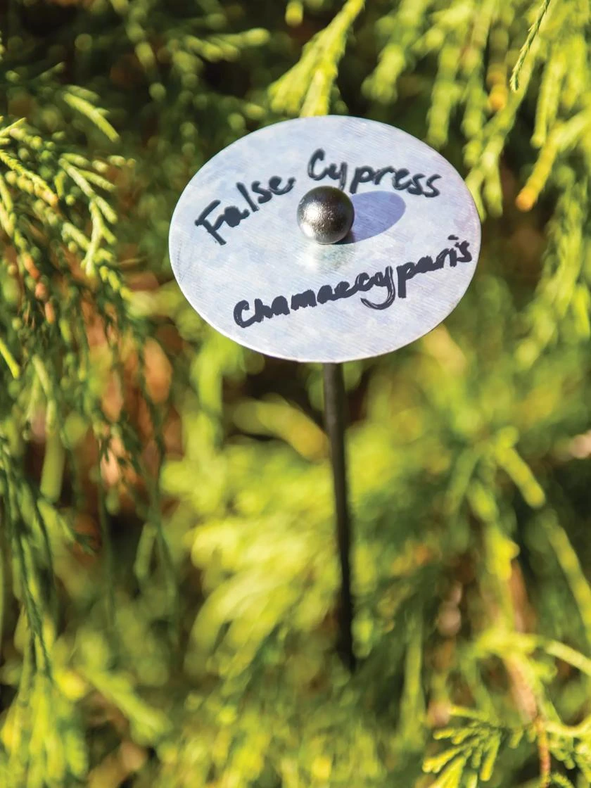 Re-Markable Plant Markers 32", Set Of 6 1 Re-Markable Plant Markers 32", Set Of 6