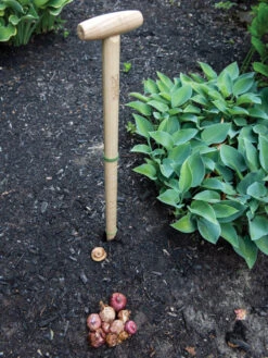 Wicked Big Dibber -The Bloom Yard Sales Shop 8612667 0028