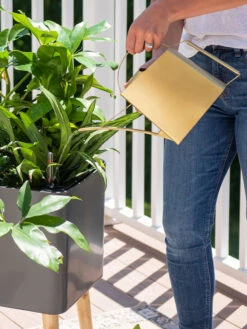 Precision Brass Watering Can 7 Precision Brass Watering Can -The Bloom Yard Sales Shop 8612691 0011