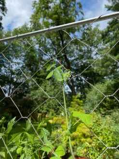 Chicken Wire Pea Trellis -The Bloom Yard Sales Shop 8612718 7311