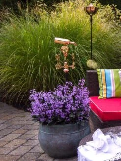 Sonoma Hose Pot -The Bloom Yard Sales Shop 8612733 02V tif