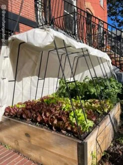 Cotton All Purpose Garden Cover -The Bloom Yard Sales Shop 8612816 01CUST