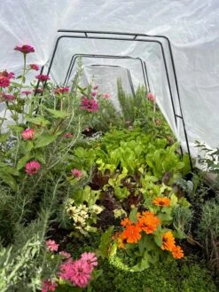 Zenith Garden Hoops, Set Of 4 -The Bloom Yard Sales Shop 8612816 01TEST 1