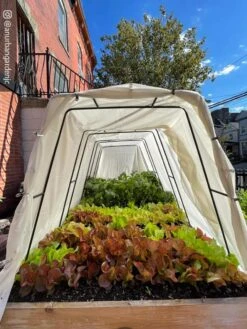 Cotton All Purpose Garden Cover -The Bloom Yard Sales Shop 8612816 03CUST