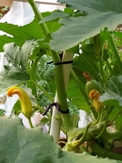 Farmyarn® Multipurpose Garden Tie, 2 Pack -The Bloom Yard Sales Shop 8612948 01v