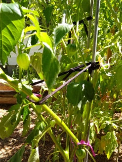 Farmyarn® Multipurpose Garden Tie, 2 Pack -The Bloom Yard Sales Shop 8612948 02v