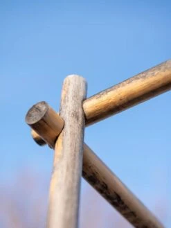 Tomato Six Pack Support 16 Tomato Six Pack Support -The Bloom Yard Sales Shop 8613143 0385 1