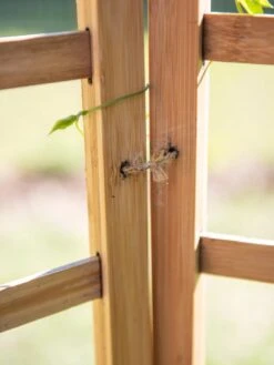 Bamboo Zig-Zag Trellis 24" X 36" 15 Bamboo Zig-Zag Trellis 24" X 36" -The Bloom Yard Sales Shop 8613151 6483