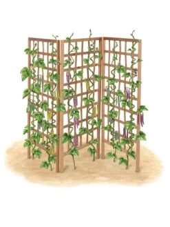 Bamboo Zig-Zag Trellis 24" X 36" 18 Bamboo Zig-Zag Trellis 24" X 36" -The Bloom Yard Sales Shop 8613151 art flat