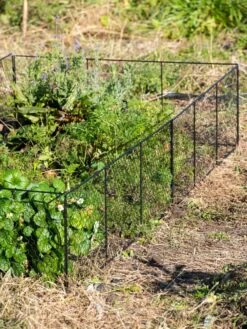 Chicken Wire Critter Fence, 16" High -The Bloom Yard Sales Shop 8613249 0336