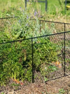 Chicken Wire Critter Fence, 16" High -The Bloom Yard Sales Shop 8613249 0352