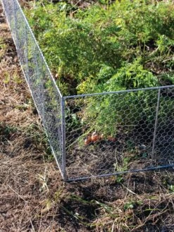 Chicken Wire Critter Fence, 16" High -The Bloom Yard Sales Shop 8613249 0358