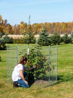 Tall Chicken Wire Critter Fence With Gate -The Bloom Yard Sales Shop 8613260 0044