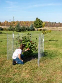 Tall Chicken Wire Critter Fence Extension Panel, Set Of 2 -The Bloom Yard Sales Shop 8613260 0090