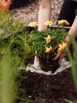 Hortiwool ®, Starter Garden Pad 9 Hortiwool ®, Starter Garden Pad -The Bloom Yard Sales Shop 8613263 12v 1