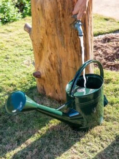 Long Reach Watering Can, Large -The Bloom Yard Sales Shop 8613346 0147