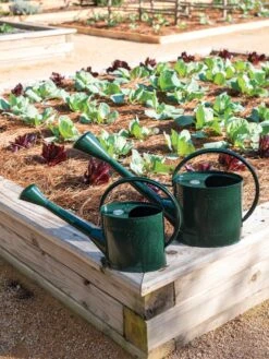 Long Reach Watering Can, Large -The Bloom Yard Sales Shop 8613346 0148 1