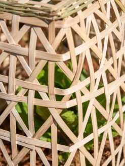 Bamboo Cloche, Set Of 2 -The Bloom Yard Sales Shop 8613351 0153