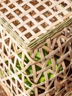 Bamboo Cloche, Set Of 2 -The Bloom Yard Sales Shop 8613351 0154