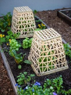 Bamboo Cloche, Set Of 2 -The Bloom Yard Sales Shop 8613351 6766