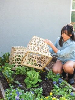 Bamboo Cloche, Set Of 2 -The Bloom Yard Sales Shop 8613351 6862