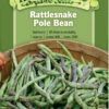 Rattlesnake Pole Bean Organic Seeds