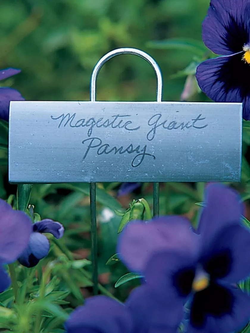 Large Markers, Set Of 25 2 Large Markers, Set Of 25 - Image 2