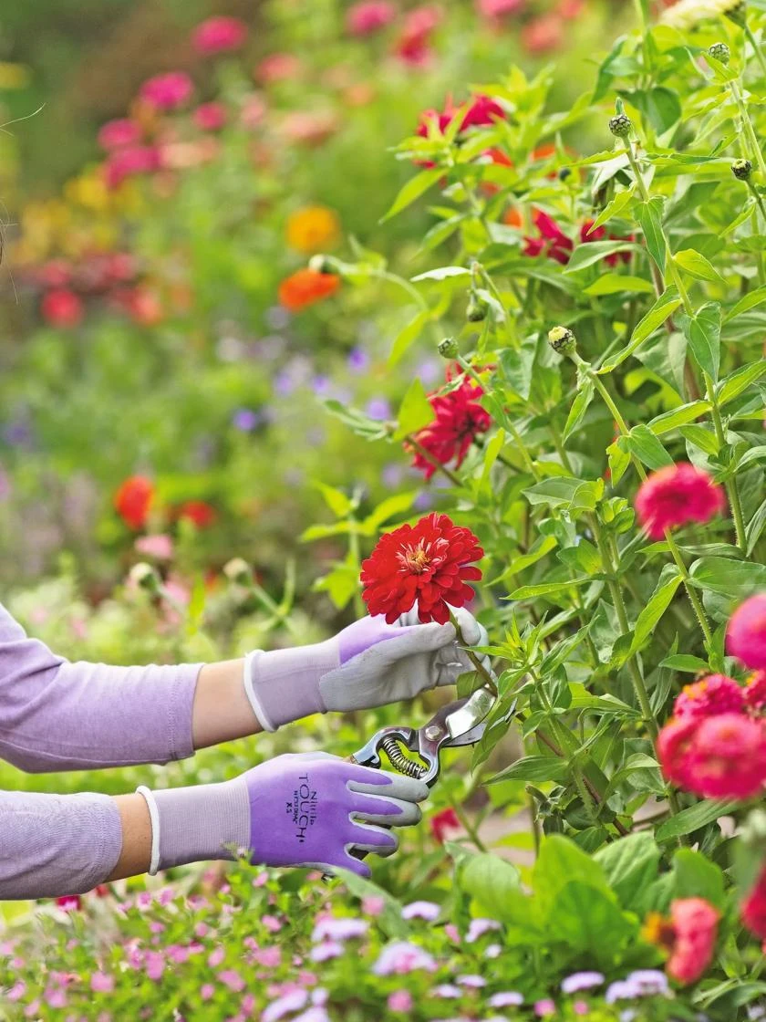 Nitrile Gloves 2 Nitrile Gloves - Image 2