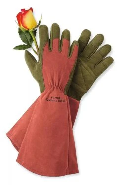 Rose Gloves -The Bloom Yard Sales Shop GS36874 01Z tif