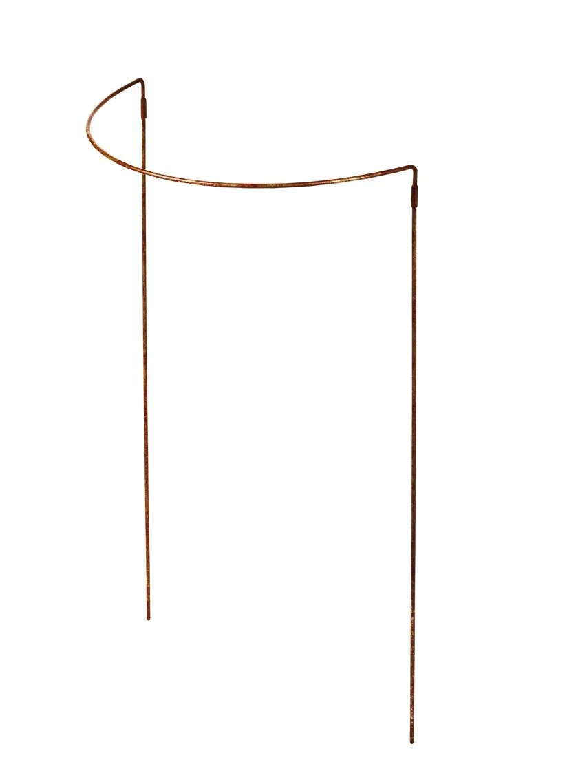 Jardin Half-Round Plant Supports, Set Of 2 2 Jardin Half-Round Plant Supports, Set Of 2 - Image 2