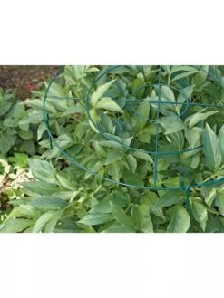 Grow Through Supports, Set Of 3 7 Grow Through Supports, Set Of 3 -The Bloom Yard Sales Shop GS40172 01 1