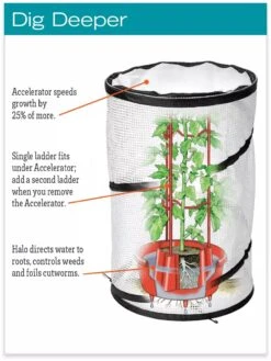 Tomato TLC Kits, Set Of 3 -The Bloom Yard Sales Shop hiw 8594214 jpg