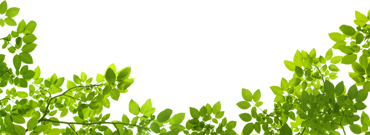 The Bloom Yard Sales Shop 38 The Bloom Yard Sales Shop -The Bloom Yard Sales Shop pngwing.com 9 Copy